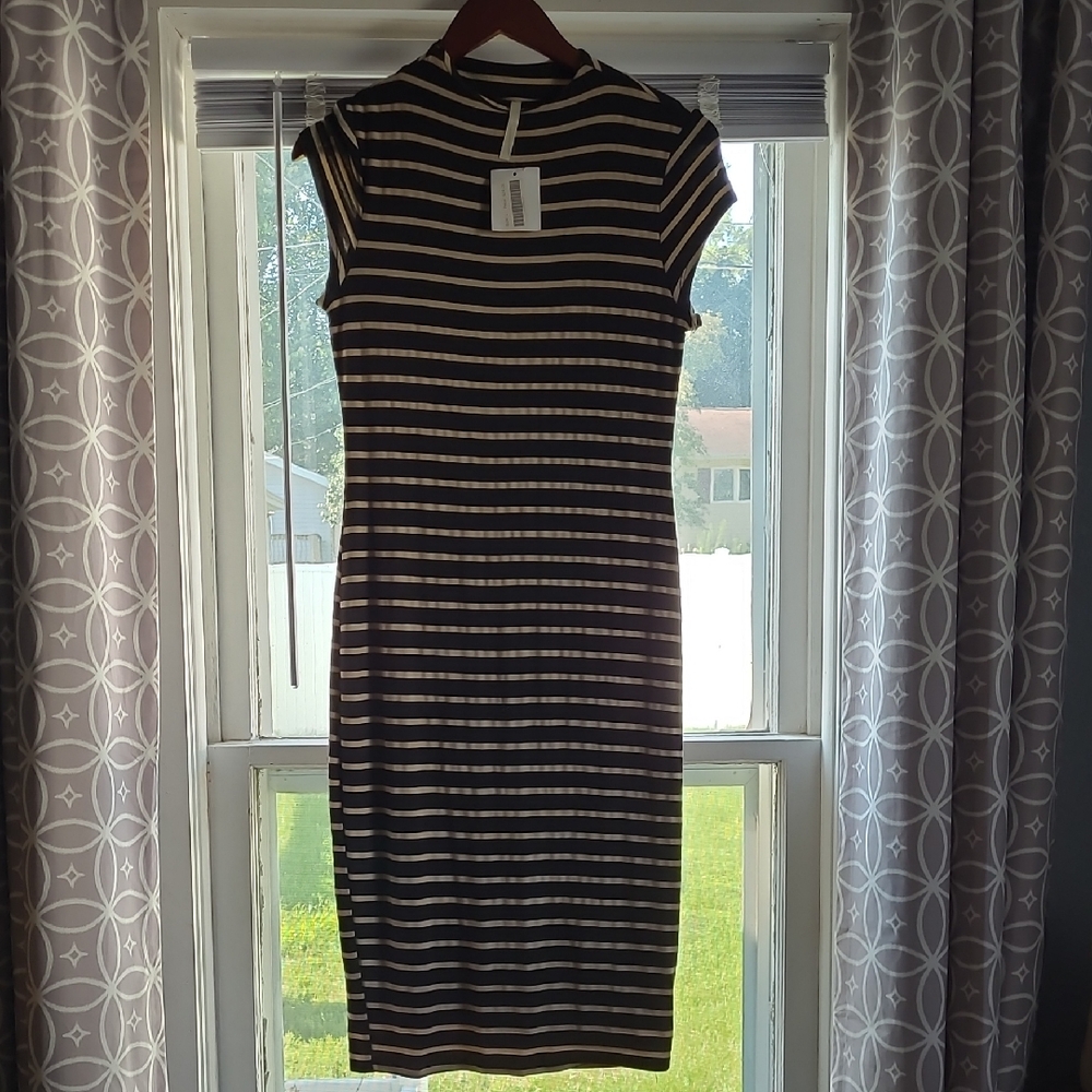 Striped Black and White Dress